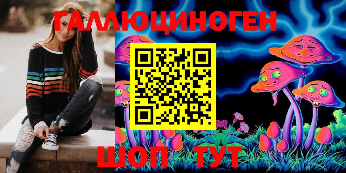 Галлюциногенные грибы Psilocybe  Вход с VPN  как найти наркотики  Ейск 