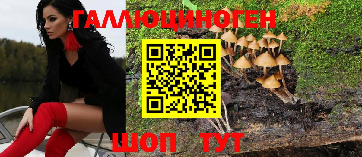 Псилоцибиновые грибы Psilocybe  Ейск 